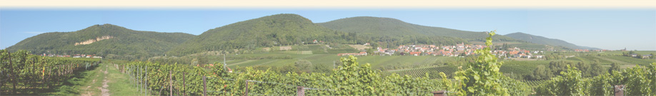 Panoramaansicht von Gleisweiler mit dem Winzerhof am Teufelsberg